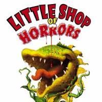 Teens Perform LITTLE SHOP OF HORRORS 7/24-8/1 At The Theatre Project